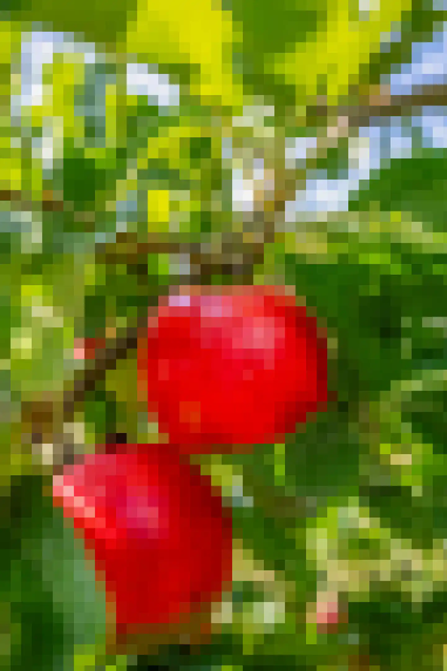 Hert 1 Baarlo thumbnail 43