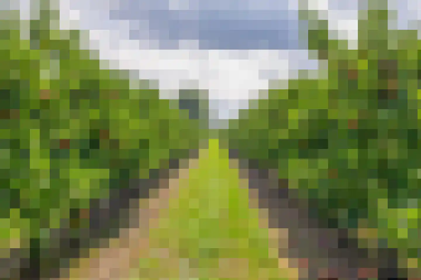 Hert 1 Baarlo thumbnail 44