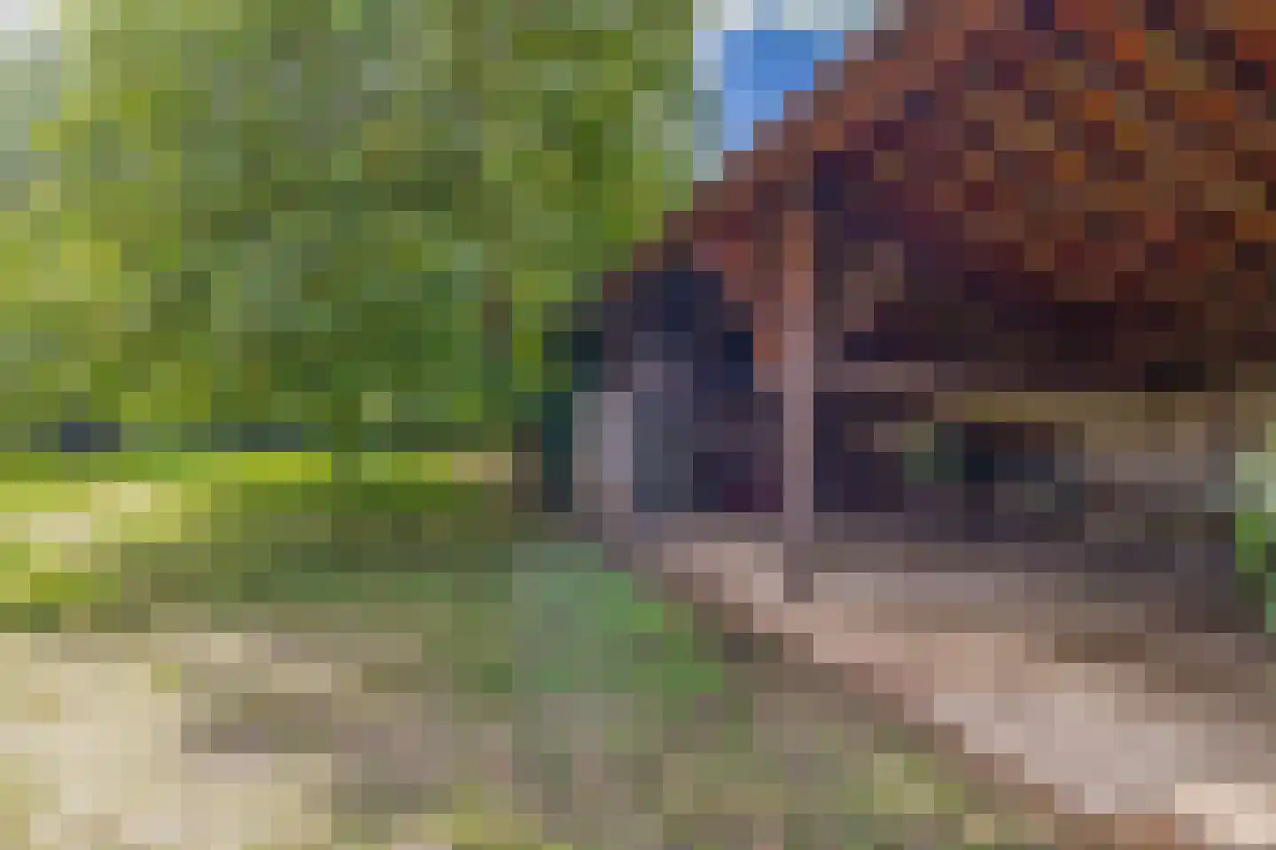 Hert 1 Baarlo thumbnail 45