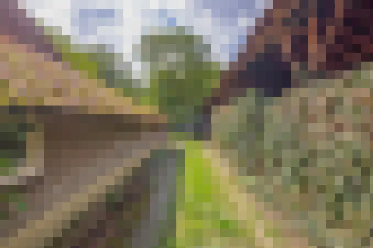 Hert 1 Baarlo thumbnail 46