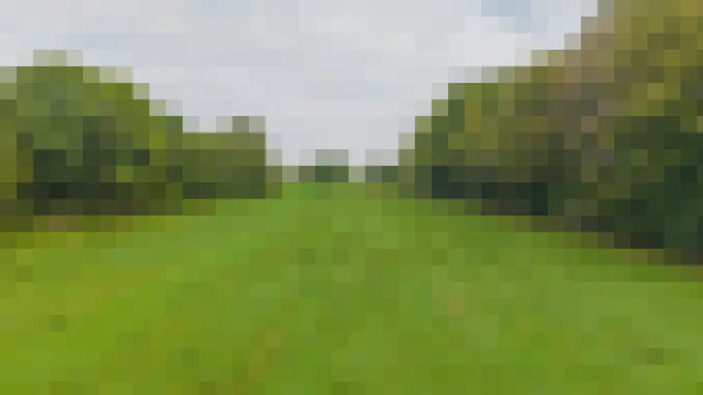 Hert 1 Baarlo thumbnail 48
