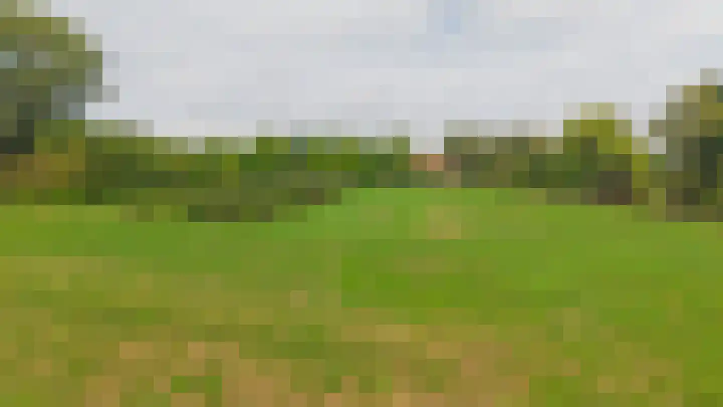 Hert 1 Baarlo thumbnail 5