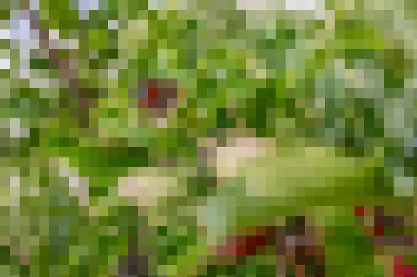 Hert 1 Baarlo thumbnail 50
