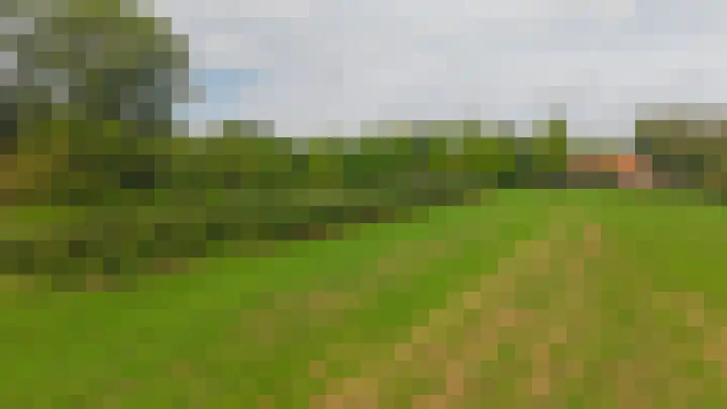 Hert 1 Baarlo thumbnail 7