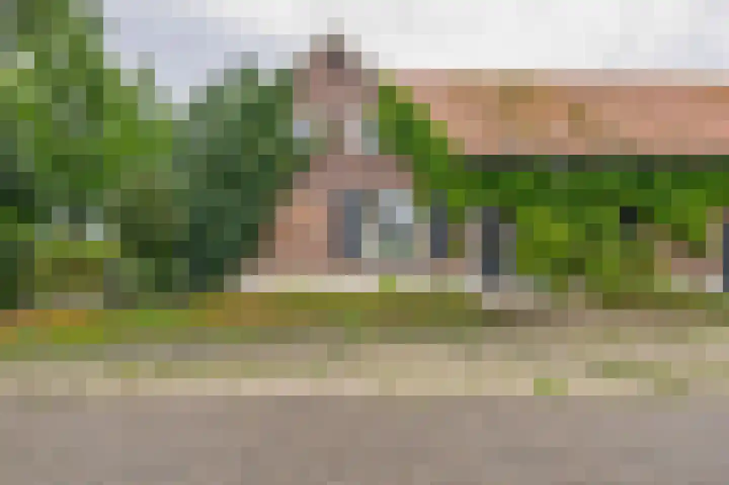 Hert 1 Baarlo thumbnail 8