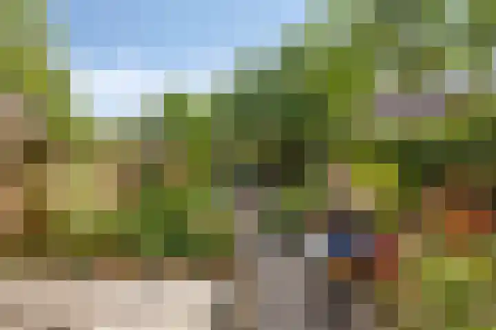 Hert. Hendrikstraat 2 Valkenswaard thumbnail 29