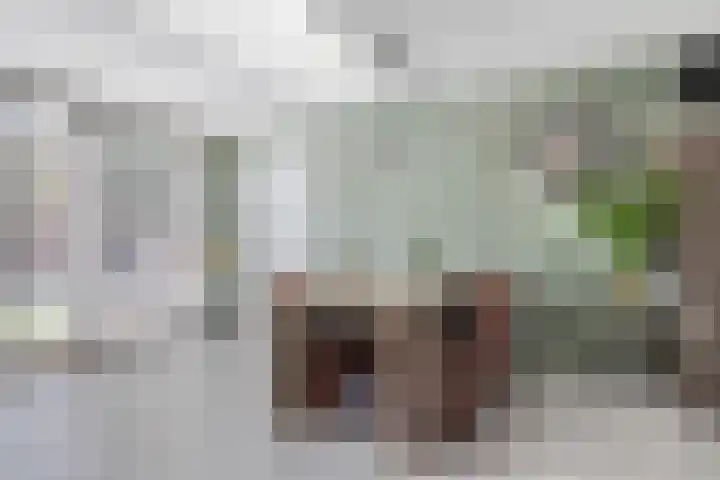 Hert. Janstraat 10 Valkenswaard thumbnail 15