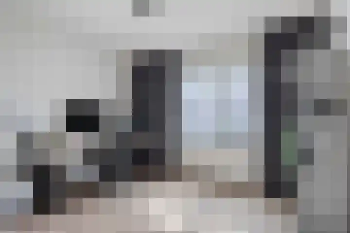Hert. Janstraat 10 Valkenswaard thumbnail 33