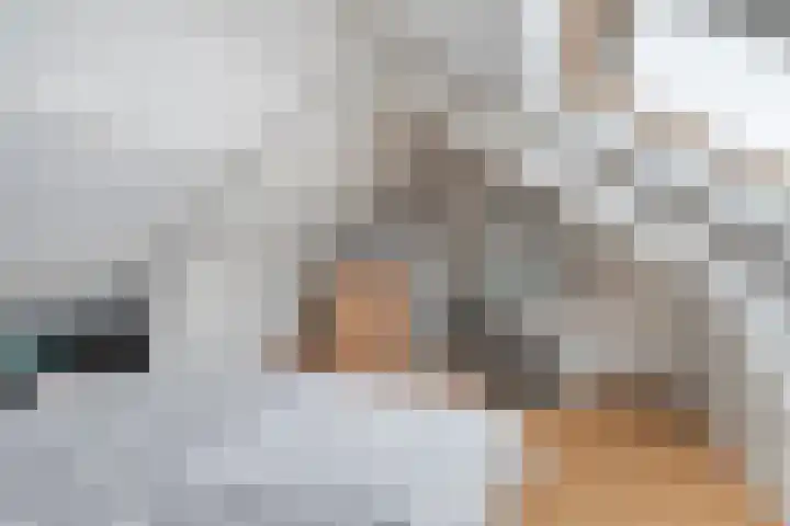 Hert. Janstraat 10 Valkenswaard thumbnail 37