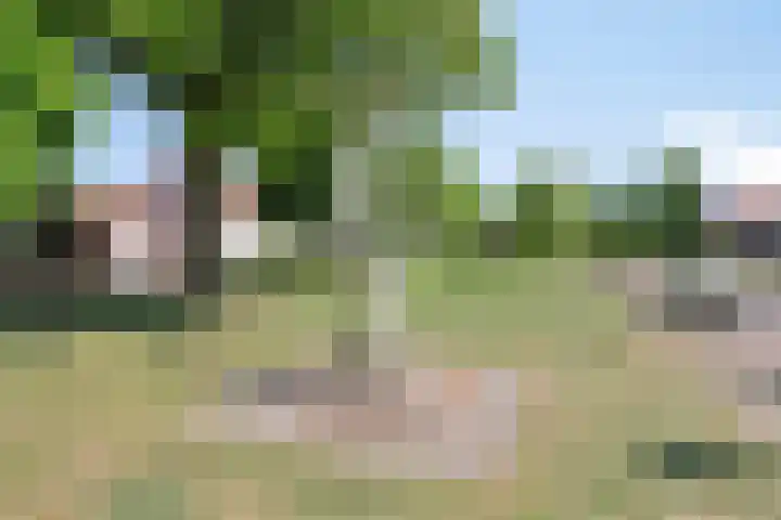 Hert. Janstraat 10 Valkenswaard thumbnail 47
