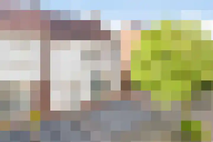 Hert. Janstraat 10 Valkenswaard thumbnail 5