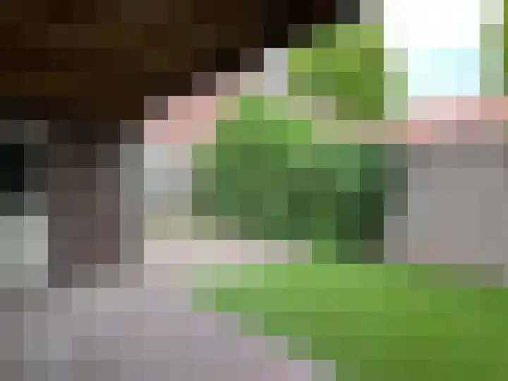 Hert. Janstraat 20 Valkenswaard thumbnail 14