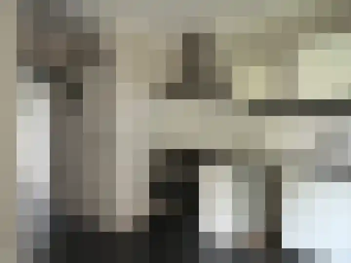 Hert. Janstraat 20 Valkenswaard thumbnail 6
