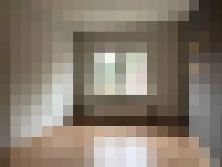 Hert. Janstraat 20 Valkenswaard thumbnail 8