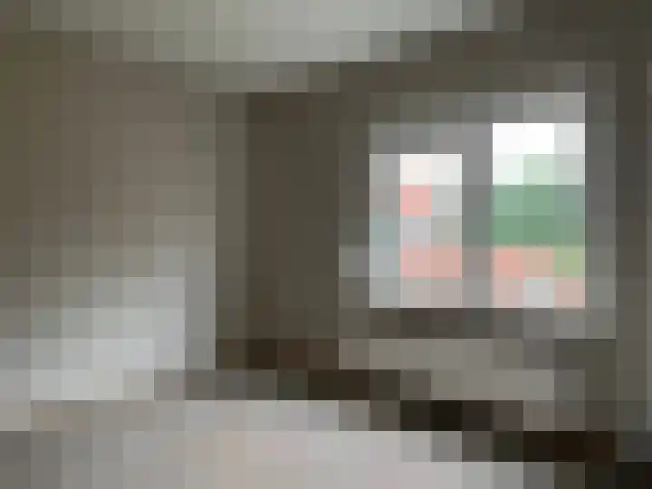 Hert. Janstraat 20 Valkenswaard thumbnail 9