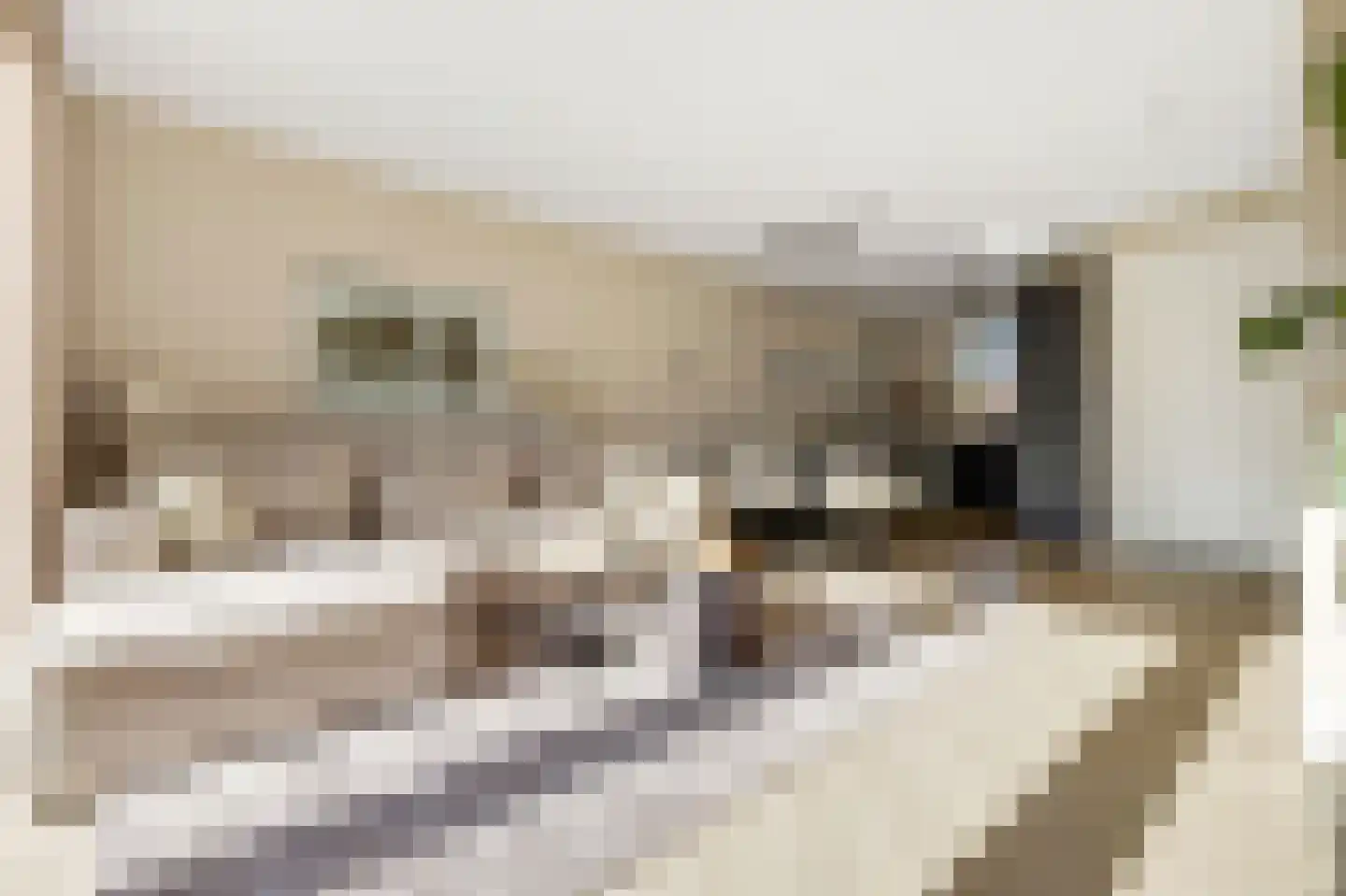 Hert. Janstraat 28 Valkenswaard thumbnail 13