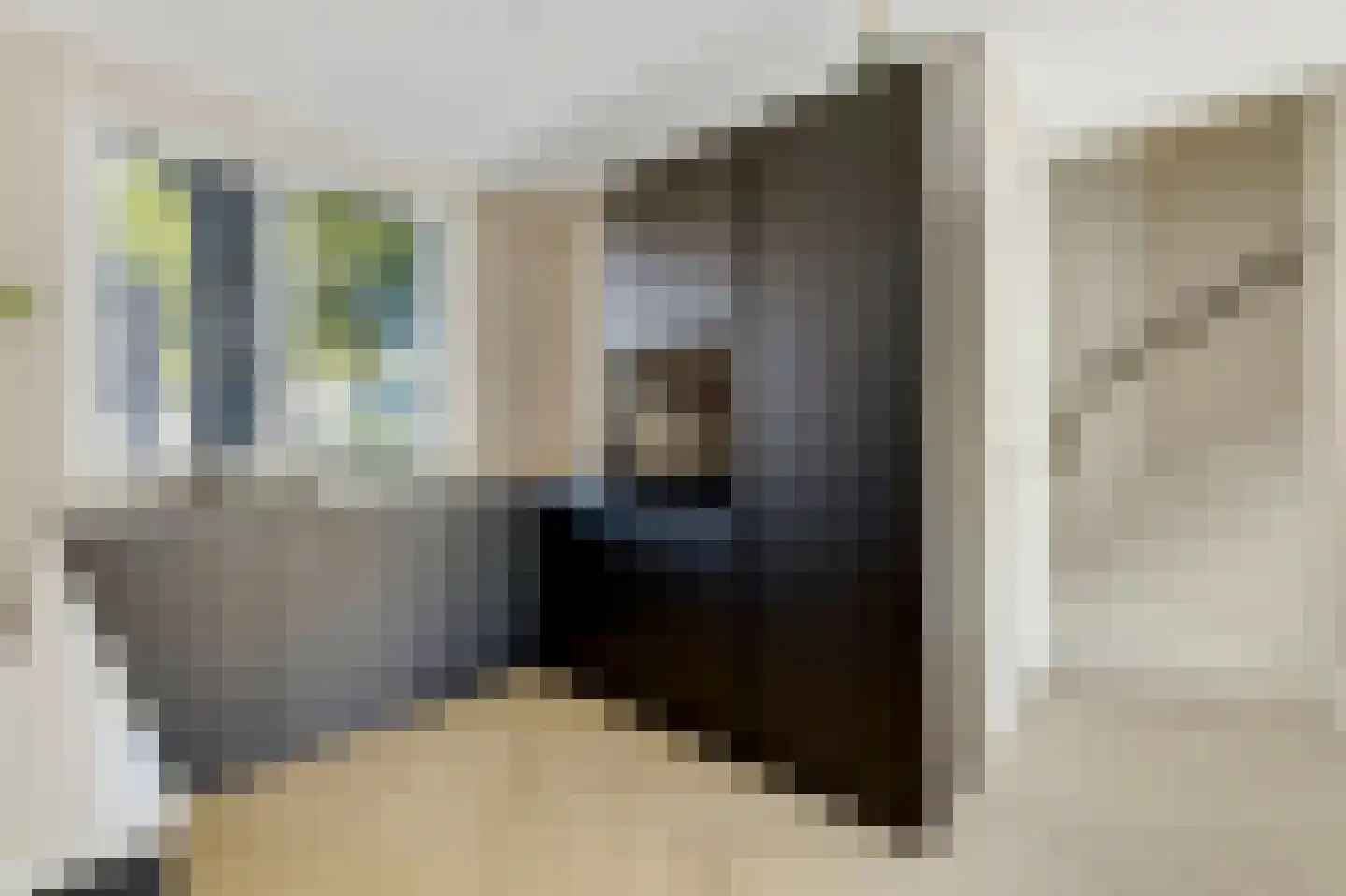 Hert. Janstraat 28 Valkenswaard thumbnail 18