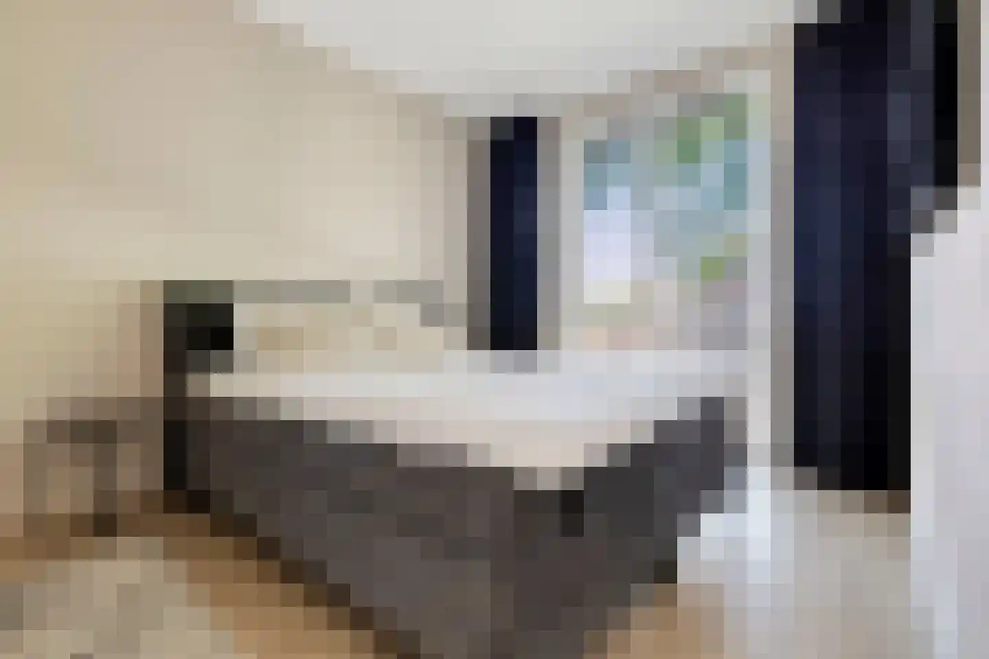 Hert. Janstraat 28 Valkenswaard thumbnail 23