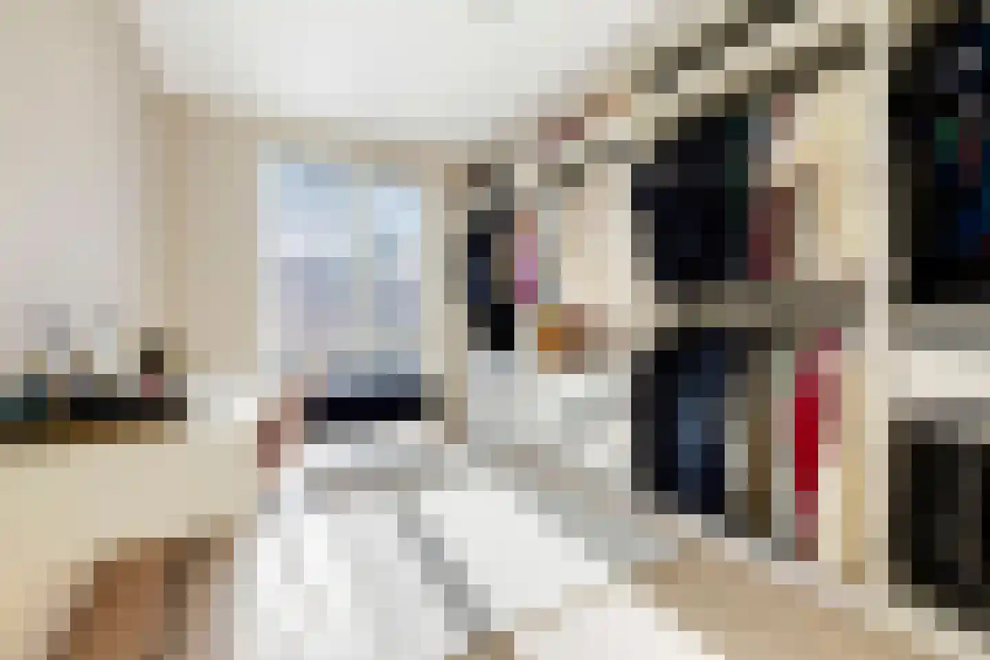 Hert. Janstraat 28 Valkenswaard thumbnail 25