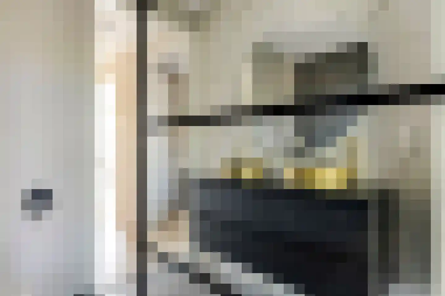 Hert. Janstraat 28 Valkenswaard thumbnail 30