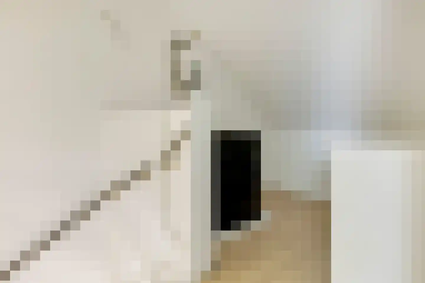 Hert. Janstraat 28 Valkenswaard thumbnail 33