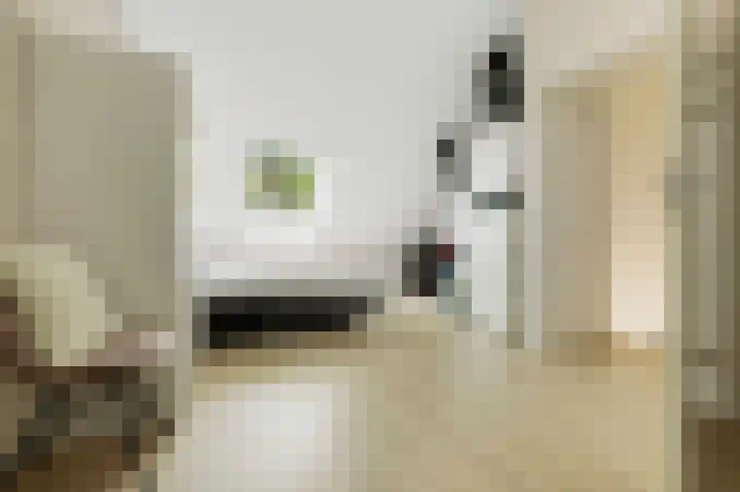 Hert. Janstraat 28 Valkenswaard thumbnail 34