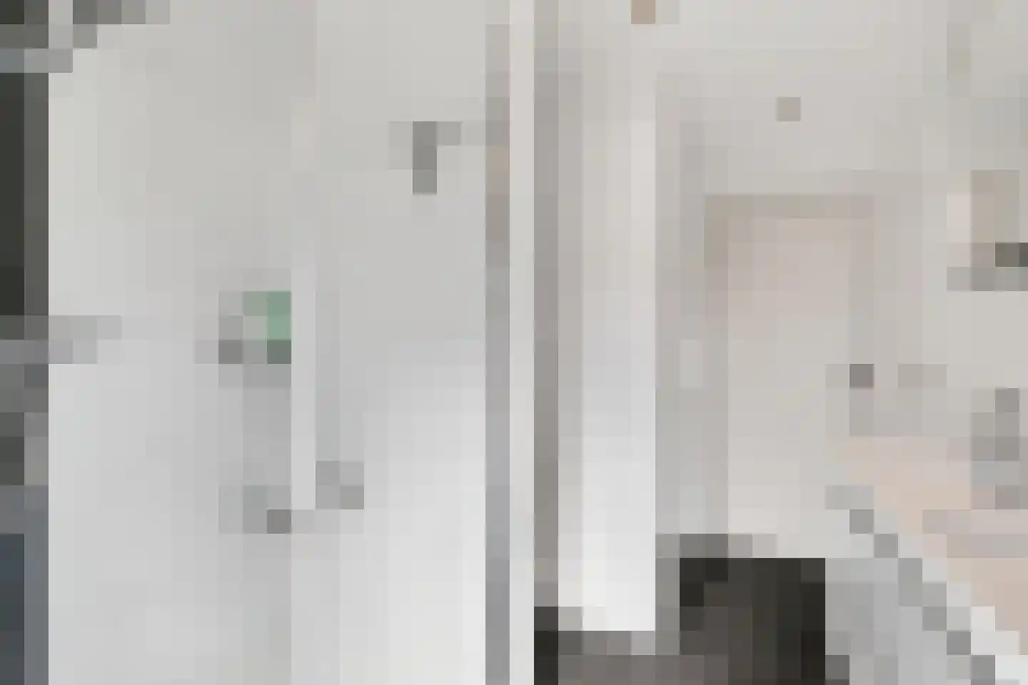 Hert. Lambrechtstraat 14 Valkenswaard thumbnail 18