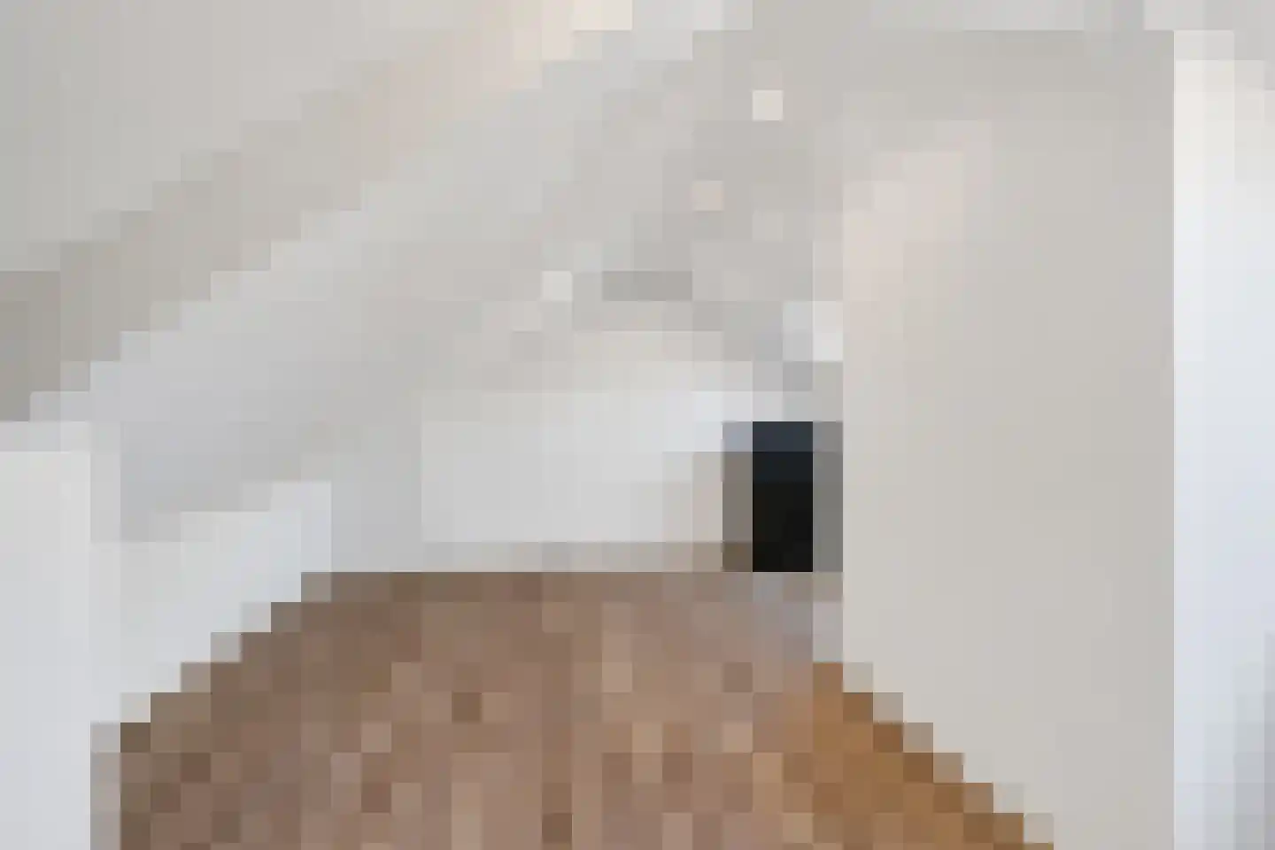 Hert. Lambrechtstraat 14 Valkenswaard thumbnail 21