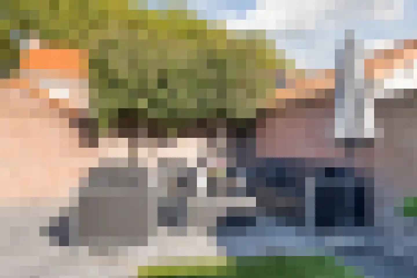 Hert. Lambrechtstraat 14 Valkenswaard thumbnail 26