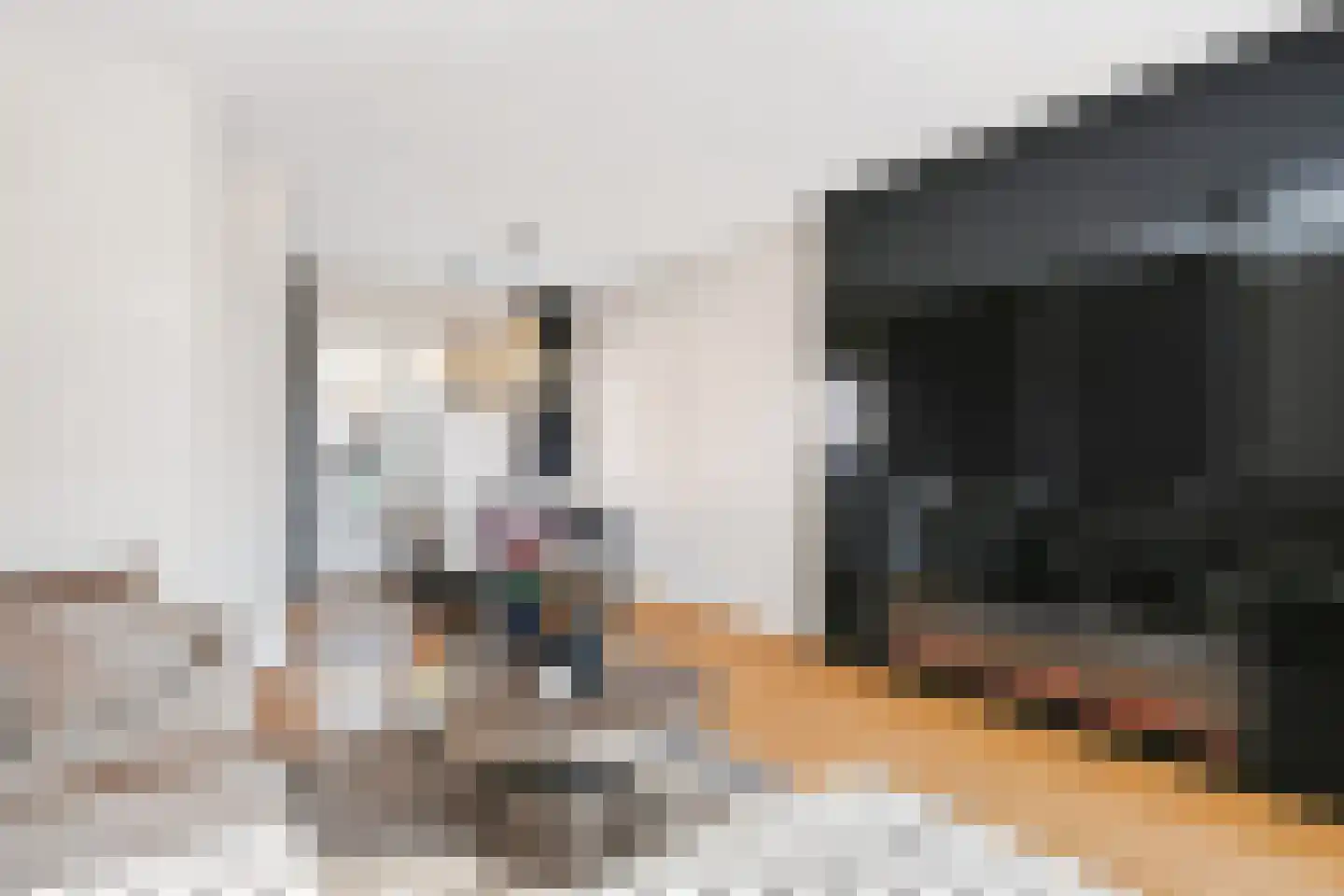 Hert. Lambrechtstraat 14 Valkenswaard thumbnail 4