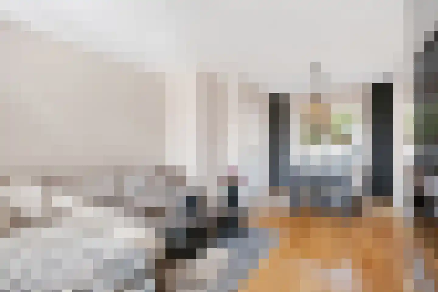 Hert. Lambrechtstraat 14 Valkenswaard thumbnail 5
