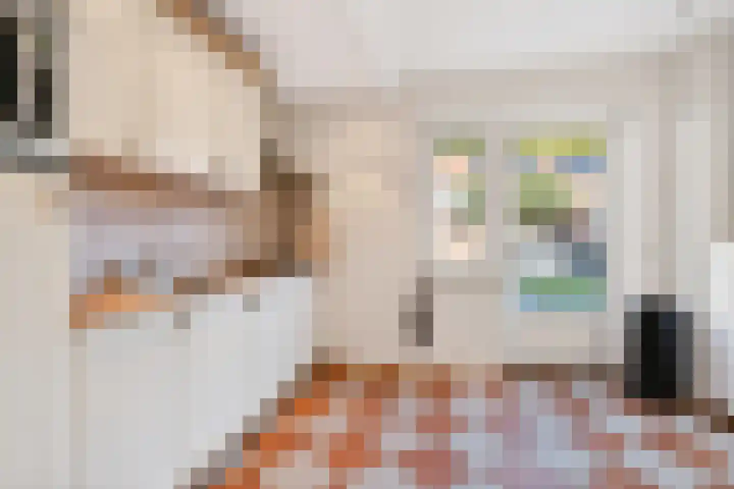 Hert. Lambrechtstraat 14 Valkenswaard thumbnail 7