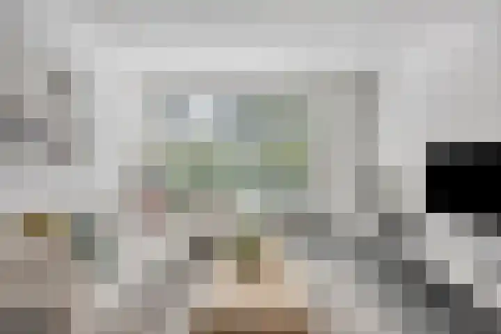 Hert. Ottostraat 30 Valkenswaard thumbnail 8