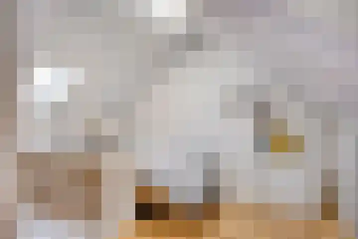 Hert. Ottostraat 30 Valkenswaard thumbnail 32