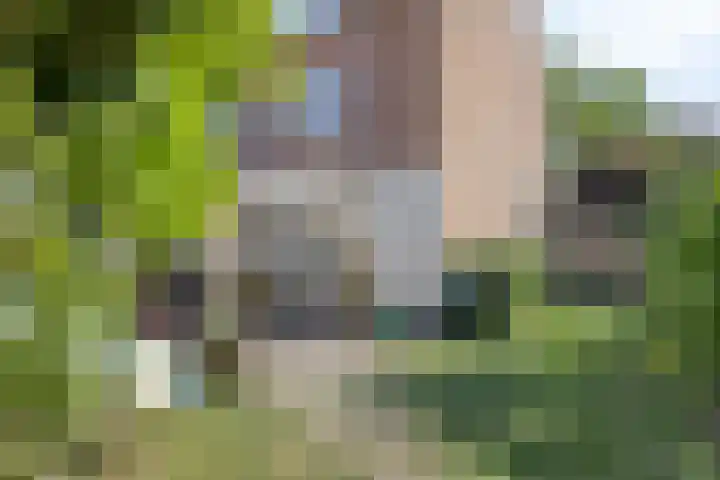 Hert. Ottostraat 30 Valkenswaard thumbnail 36