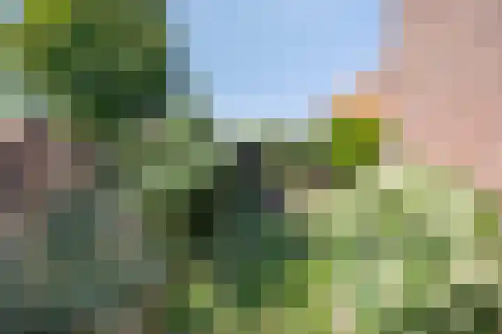 Hert. Ottostraat 30 Valkenswaard thumbnail 37