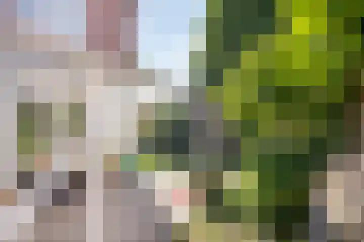 Hert. Ottostraat 30 Valkenswaard thumbnail 38