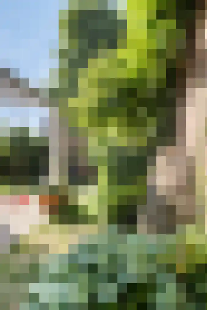 Hert. Ottostraat 30 Valkenswaard thumbnail 39