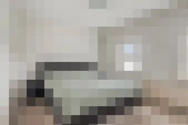 Hert. Ottostraat 6 Valkenswaard thumbnail 9