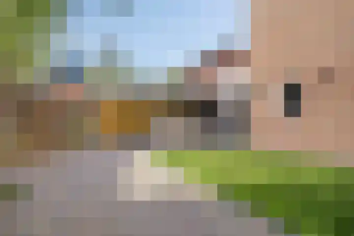 Hert. van Leuvenstraat 1 Valkenswaard thumbnail 15