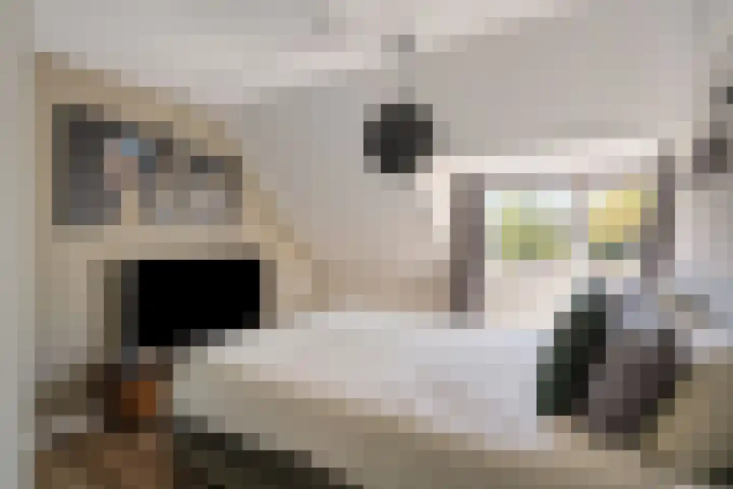 Hertelaan 1 Helmond thumbnail 22