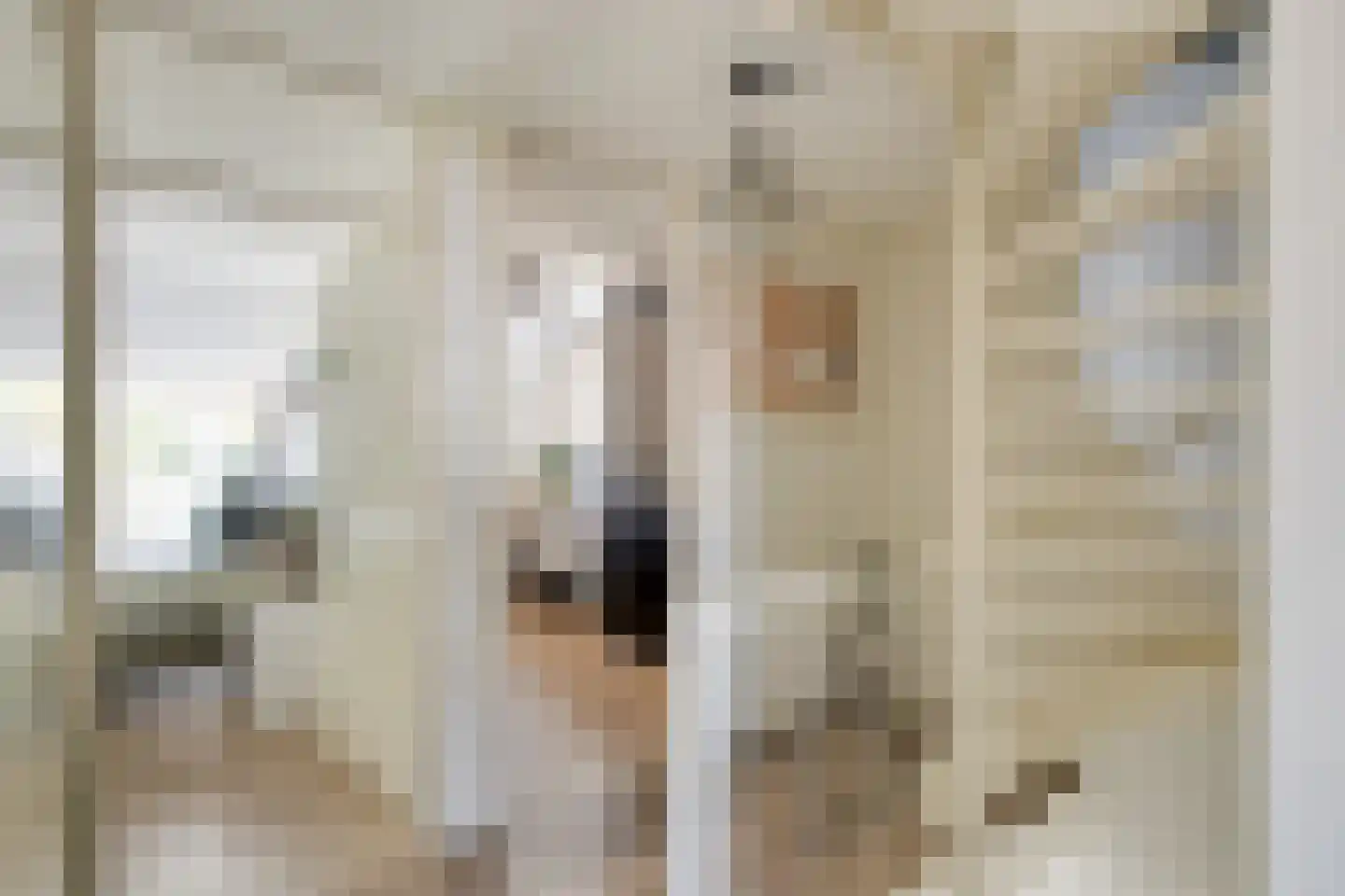 Hertelaan 1 Helmond thumbnail 24