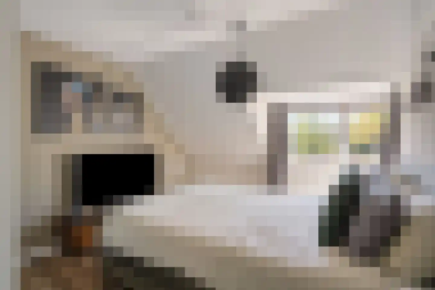 Hertelaan 1 Helmond thumbnail 25