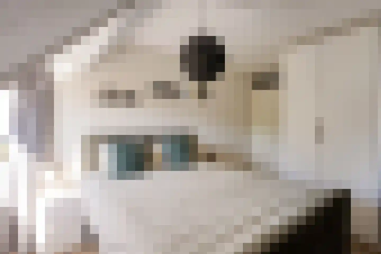 Hertelaan 1 Helmond thumbnail 26