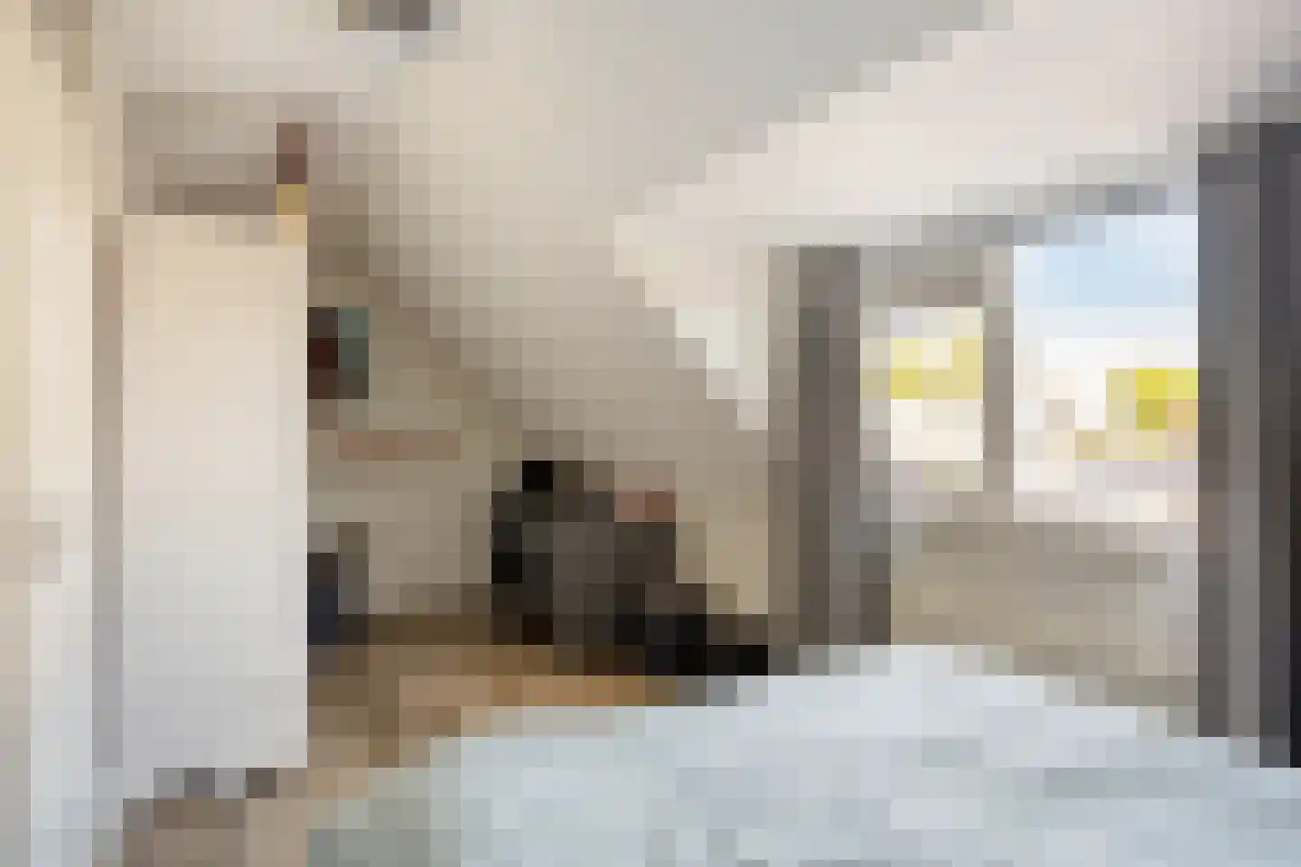 Hertelaan 1 Helmond thumbnail 28