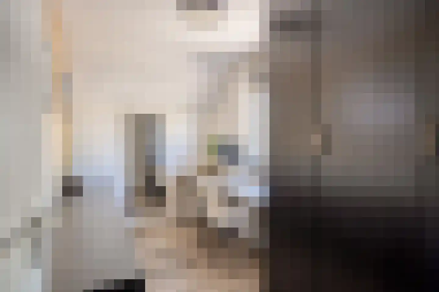 Hertelaan 1 Helmond thumbnail 29