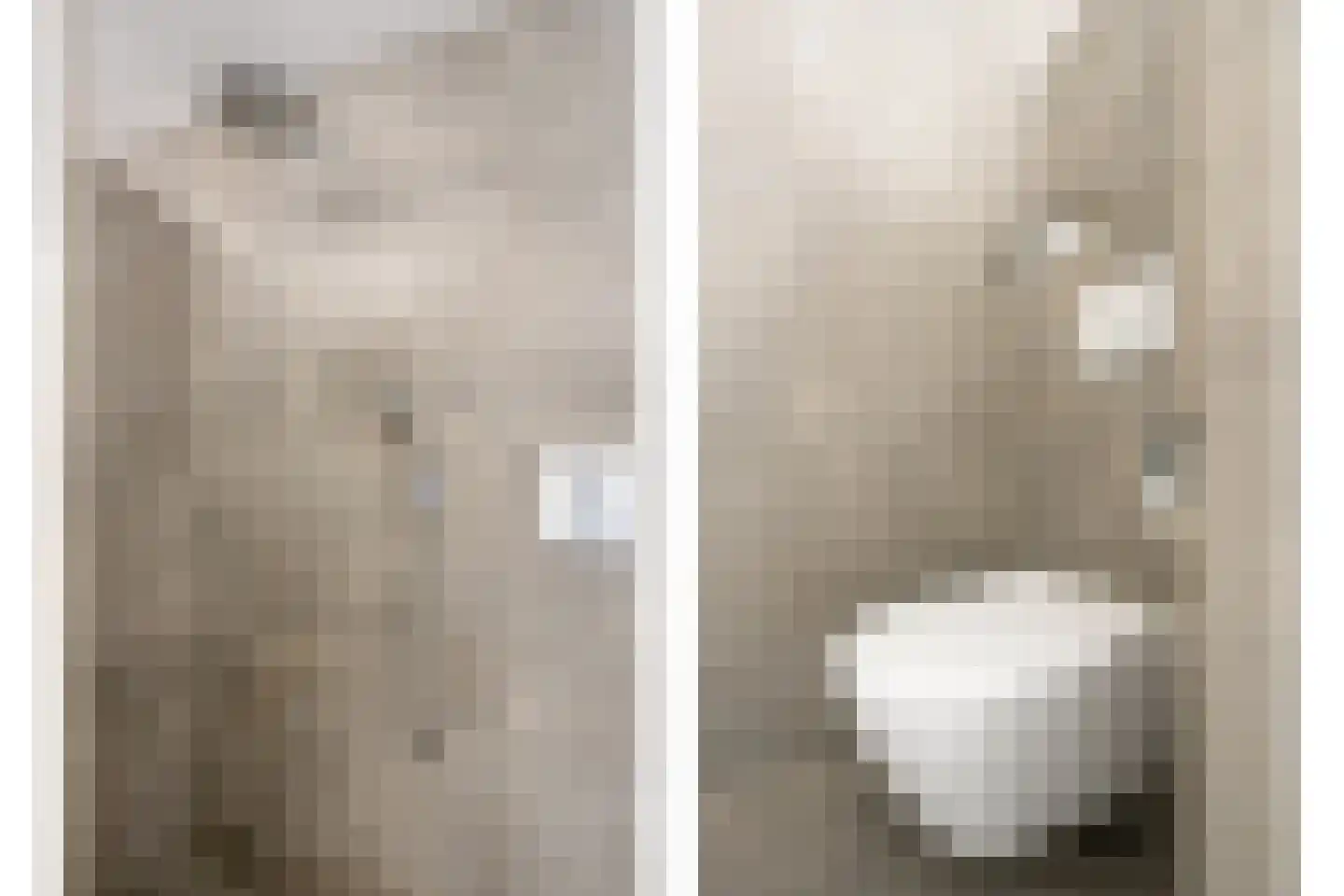 Hertelaan 1 Helmond thumbnail 31