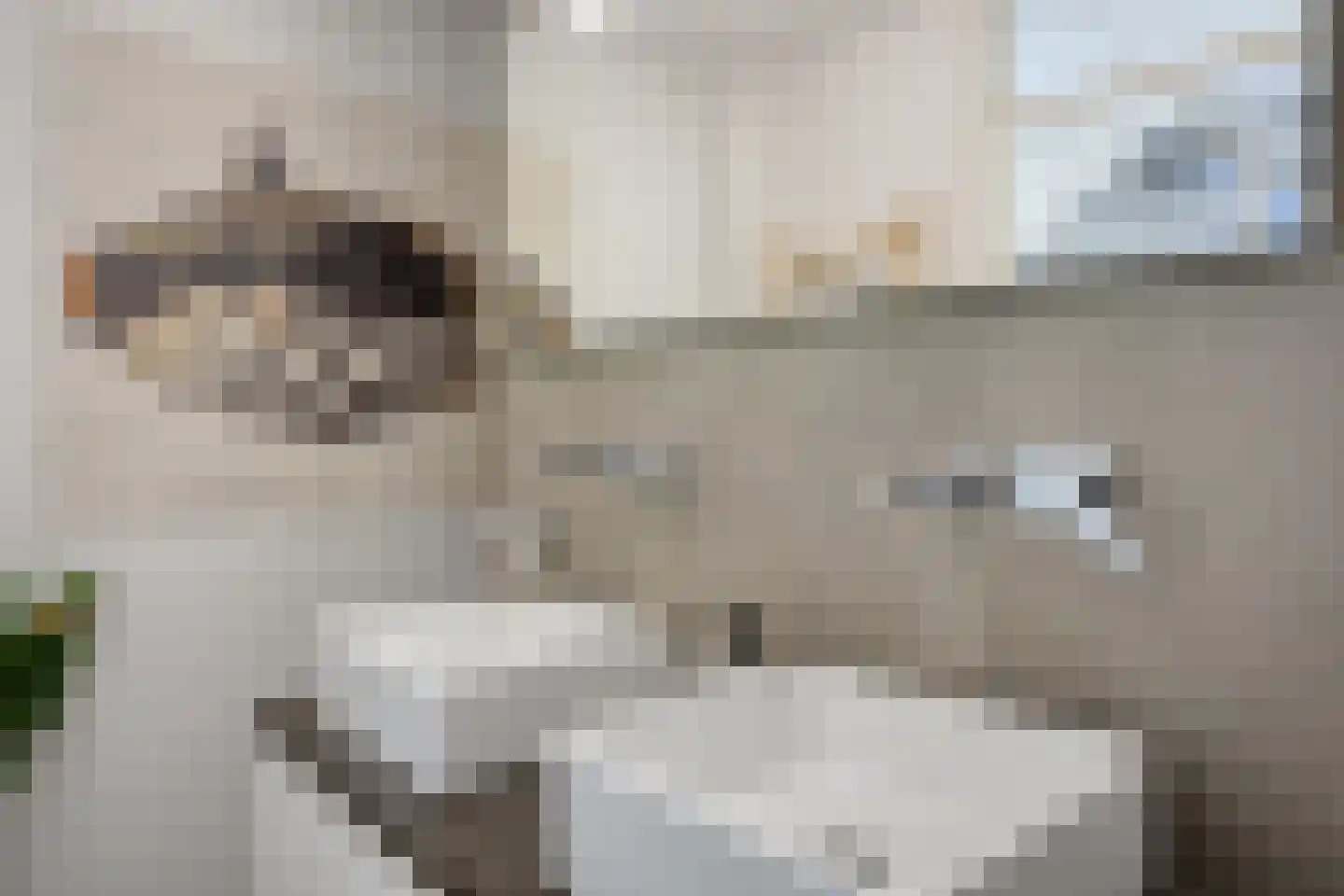 Hertelaan 1 Helmond thumbnail 32