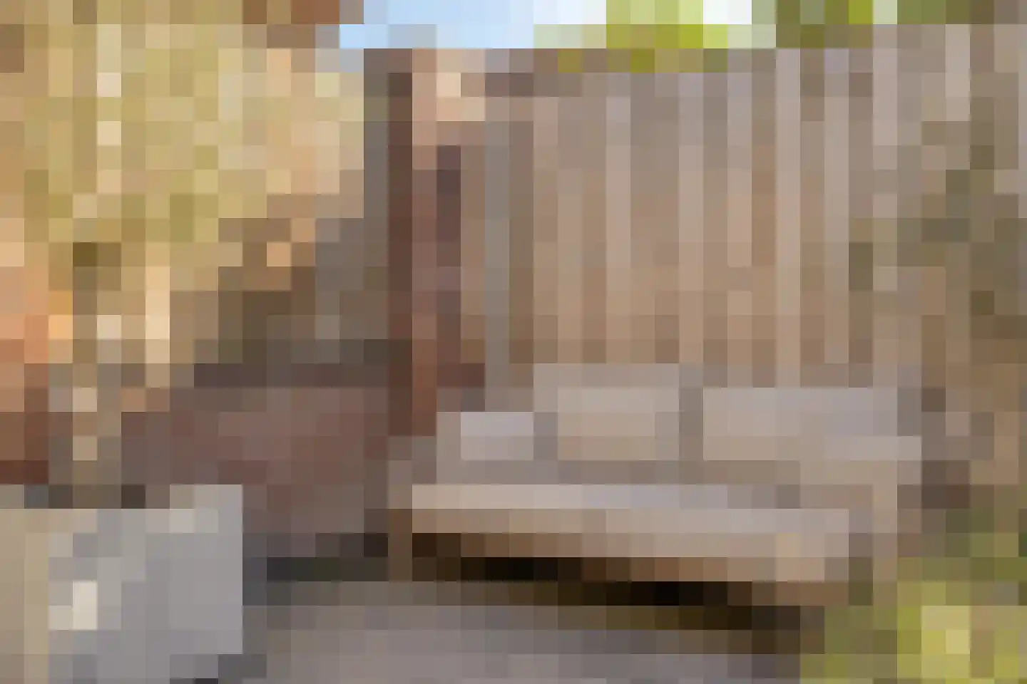 Hertelaan 1 Helmond thumbnail 36