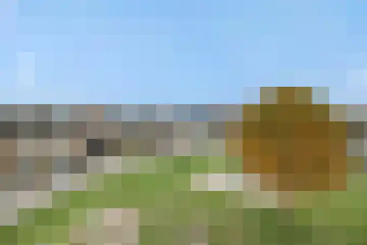 Hertelaan 31 Helmond thumbnail 10